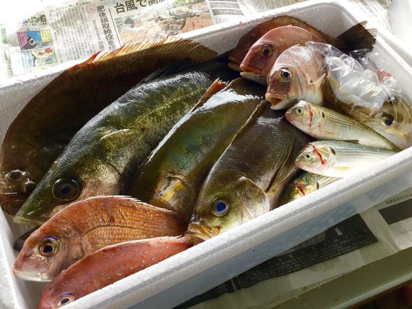 鮮魚セット①