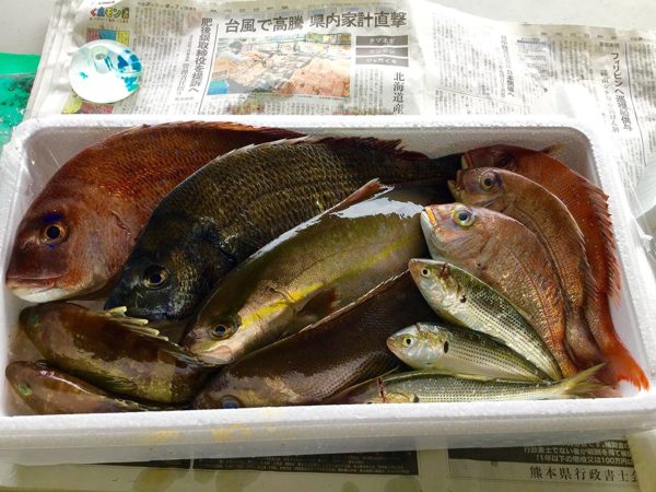 鮮魚セット②