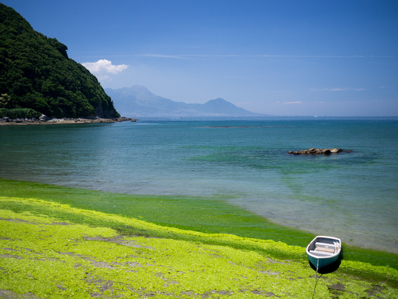 天草のキレイな海
