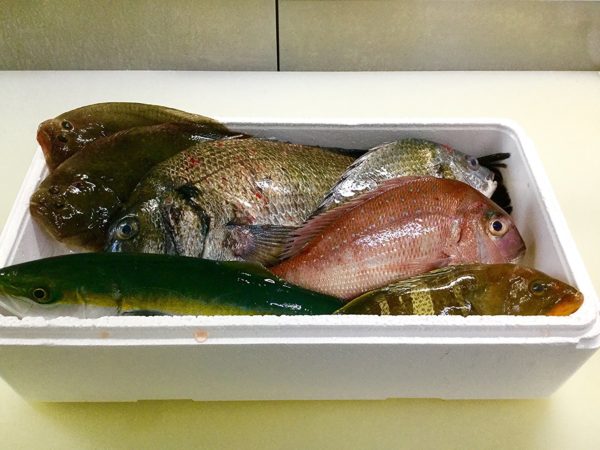 鮮魚セット③
